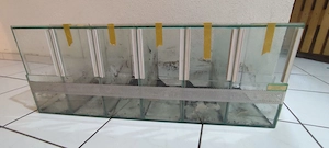 Terrarien Block B80xT30xH30 (Tausch möglich!)