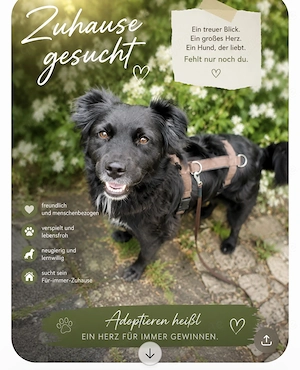 Knutschkugel sucht Dich