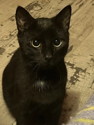 Oskar, geb. 2025
