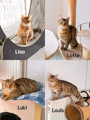Lisa, Lotte, Luki und Louis, geb. 2025