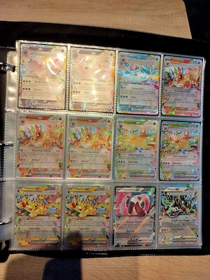 Pokemon Album mit 237 ex Karten