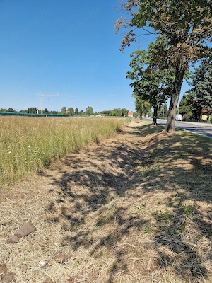 Bauland im Oderbruch ab ca. 600 m    25   m    provisionsfrei Bild 2