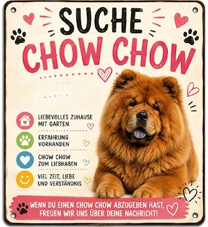 Suche Chow Chow