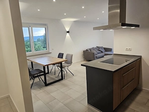 Wohnung 60 m2 möbiliert ab sofort Hagenbach Pretzfeld