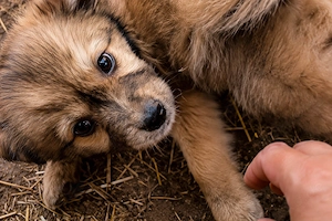 17M ist ein kleines Kuschelbärchen