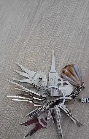 Master bietet Keyholding