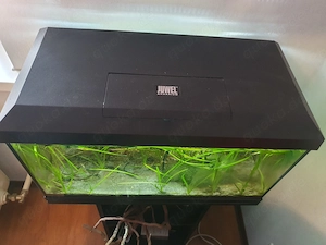 Kleines Aquarium 60 l für Selbstabholer  Bild 2