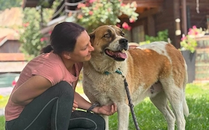 Verliebst du dich in die tolle Annie?