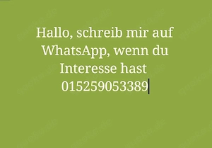 treffen ONS 