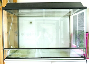 2 Terrarien in Karlsruhe abzugeben, nur Abholung!