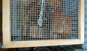 Terrarium Nagarium in Karlsruhe abzugeben, nur Abholung! Bild 2