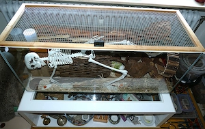 Terrarium Nagarium in Karlsruhe abzugeben, nur Abholung!