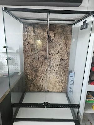Terrarium mit Rückwand und Beleuchtung