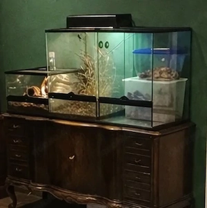 Exo Terra 45x45x60