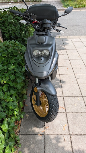 50 Roller  Neu 2026 Bild 3