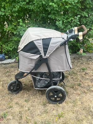 Hunde Buggy