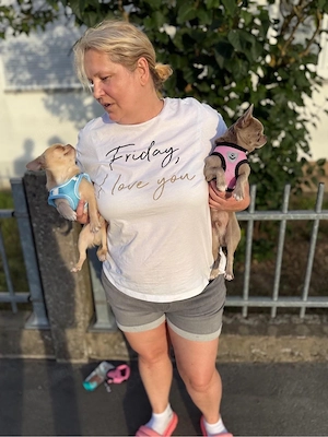 Cremiger, sanfter mini Chihuahua-Rüde