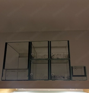 Terrarium (Terrarien) 