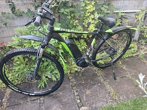 e bike mountainbike:)