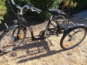 Dreirad für Erwachsene Bild 4