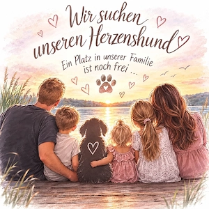 Wir suchen einen Fellfreund 
