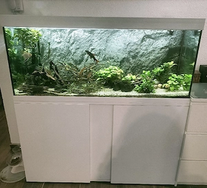 EHEIM vivalineLED 240 Aquarium mit Zubehör (240l)