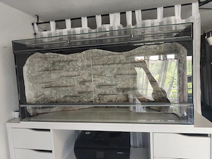 Terrarium Glas Glasterrarium mit Rückwand 120 x 60 x 40