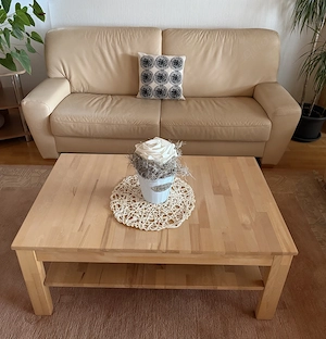 Leder Couchgarnitur