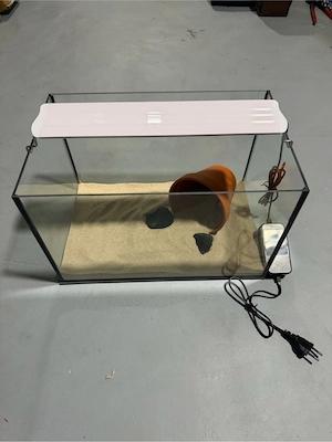 Kleines Aquarium 40x25x25 + neue LED neue Airpump. 