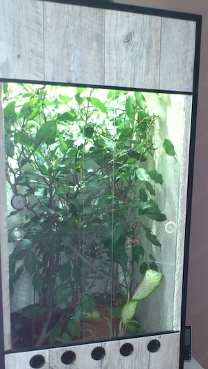 Terrarium 60-60-120 cm
