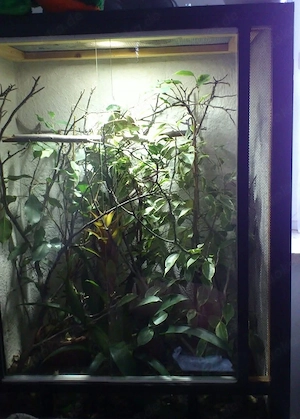 Terrarium 80-50-100cm 