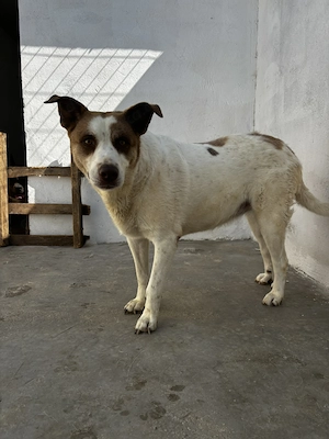 Margot sucht ihr Zuhause
