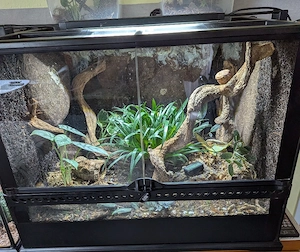 Exo Terra Terrarium 60x45x45 