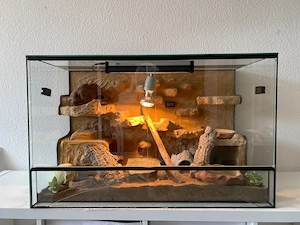  Terrarium Terra 80x50 cm Glas für Gecko Leopardgecko oder andere Reptilien