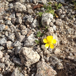 Leben mit und in der Natur