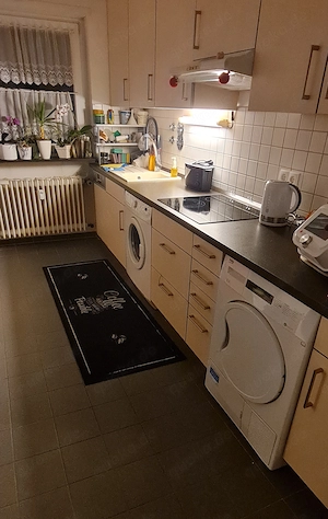 Einbau-Küche mit Ceranfeld, Spül- + Waschmaschine, Wärmepumpentrockner, Dunstabzugshaube 