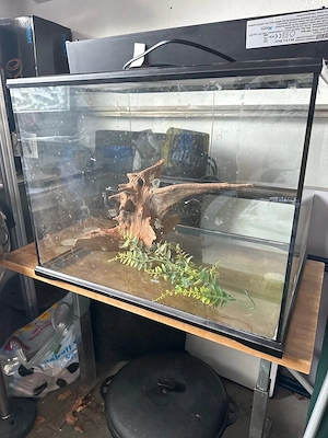 Terrarium leer 