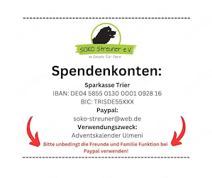 Juni ist bereit für dich! Bild 5