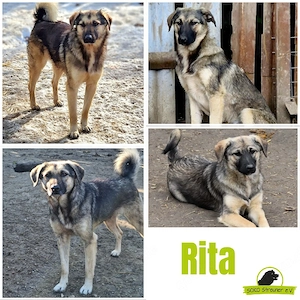 Rita ist schüchtern und zurückhaltend