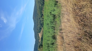 Suche eine Reisebegleitung 