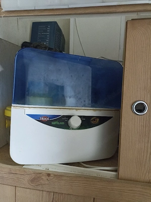 nebler zu verkaufen 5  . nur an selbstabholer