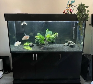 Gepflegtes Aquarium mit Garantie