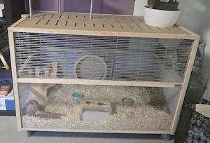 Großes Hamster Gehege mit viel Zubehör abzugeben 