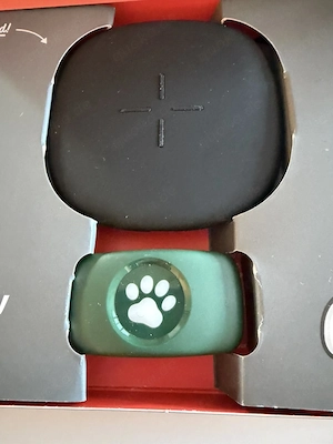 Pitpat Hunde GPS-Tracker - Waldgrün
