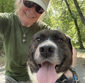Bambo, z. Zt. in Ungarn, ist ein ganz sympathischer Hund Bild 6