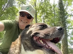 Bambo, z. Zt. in Ungarn, ist ein ganz sympathischer Hund Bild 8