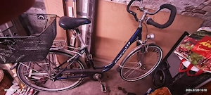 Damenrad Cyco