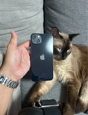 iphone 14plus 128gb