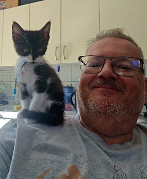 Maine Coone Mix Kitten 