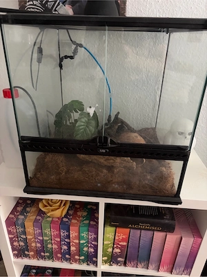 Exo Terra Terrarium 